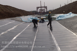 南开区平房铺油毡 防水补漏 专业团队施工